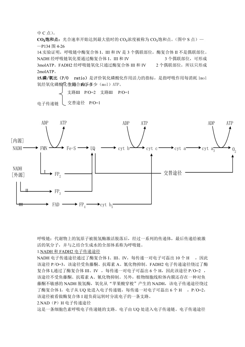 植物生理学笔记整理.doc_第3页