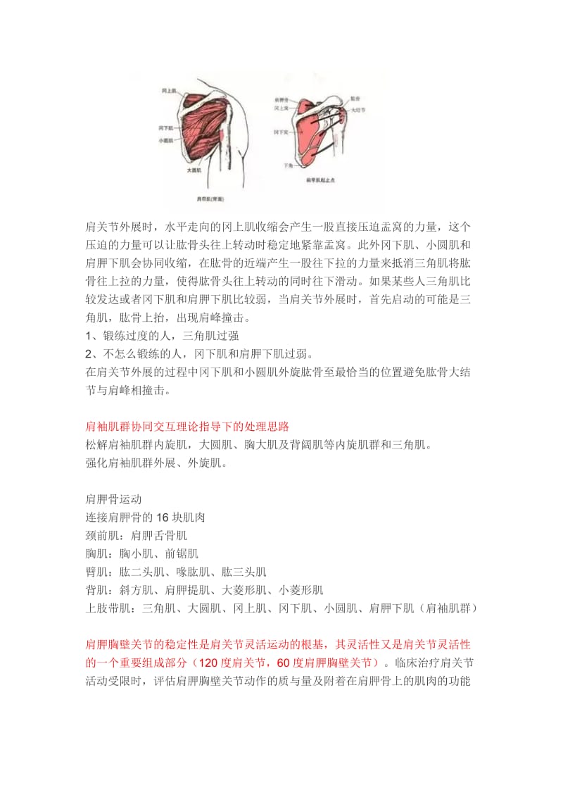 肩关节活动受限治疗新思路.doc_第2页