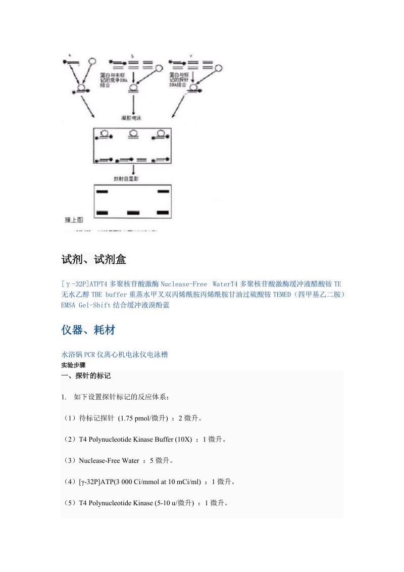 EMSA原理流程.doc_第2页