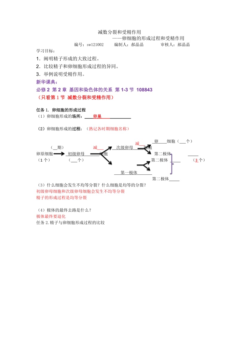 卵细胞的形成过程.doc_第1页