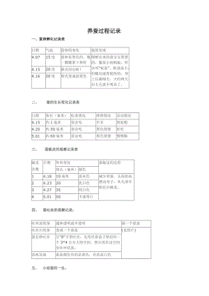 养蚕过程记录.doc