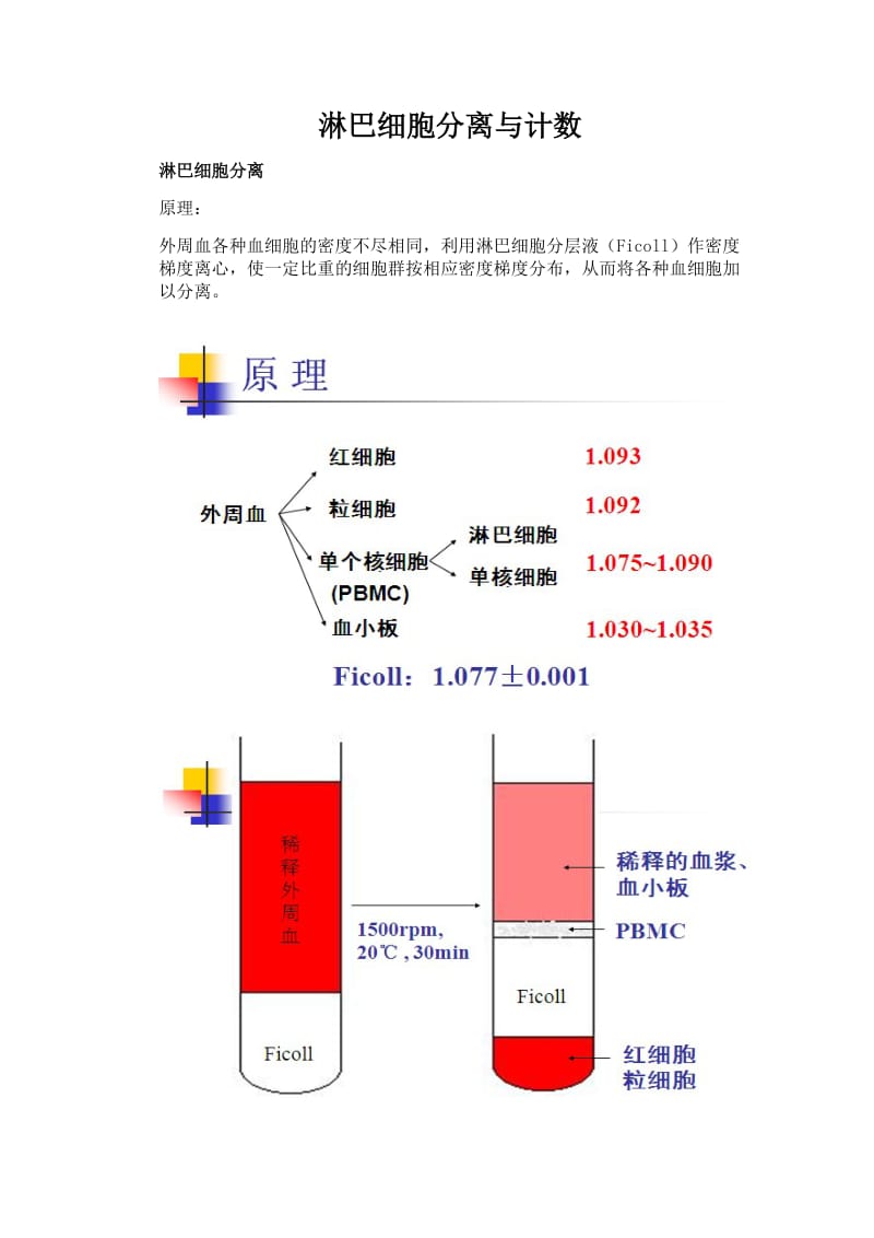 淋巴细胞分离.doc_第1页