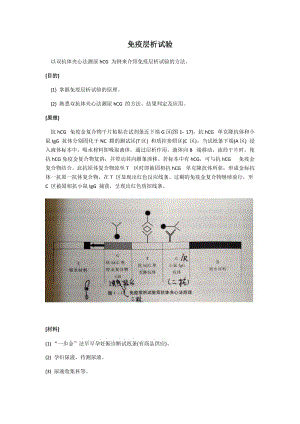 免疫层析试验.doc