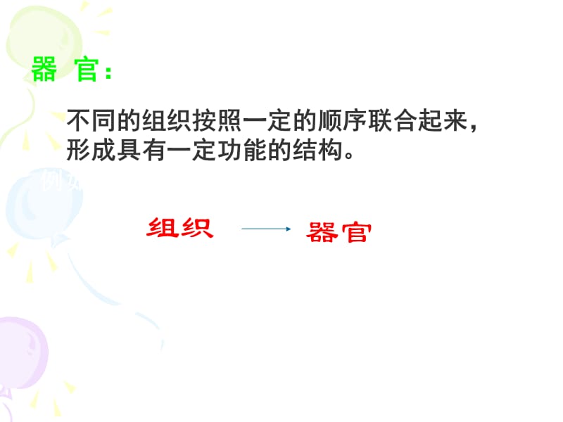 生物的结构层次.ppt_第2页