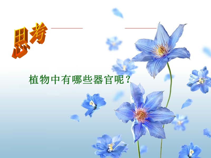 生物的结构层次.ppt_第3页