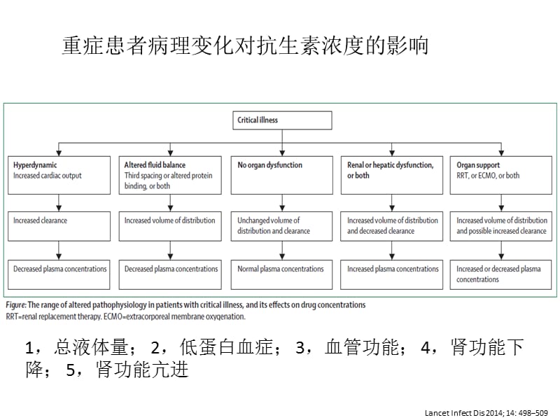 重症病人抗生素个体化给药剂量.ppt_第3页