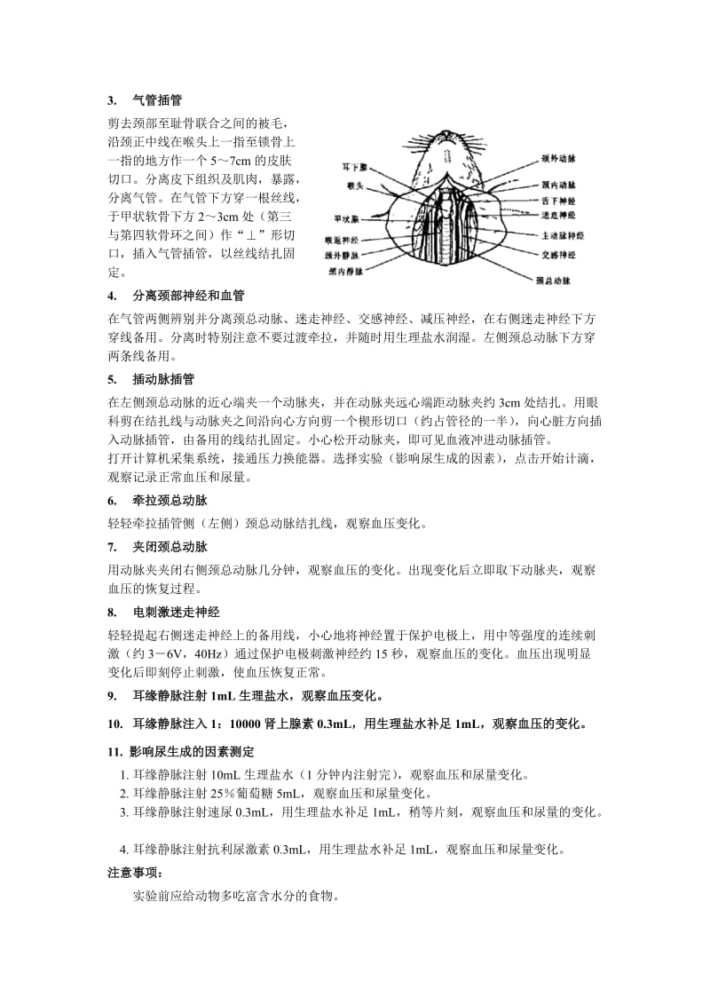 【实验报告】家兔动脉血压的神经体液调节 影响尿生成的因素.doc_第2页