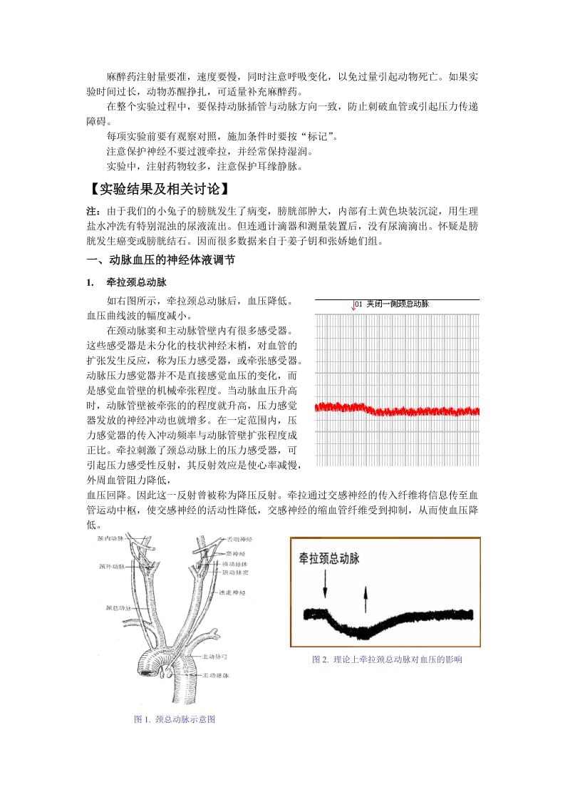 【实验报告】家兔动脉血压的神经体液调节 影响尿生成的因素.doc_第3页