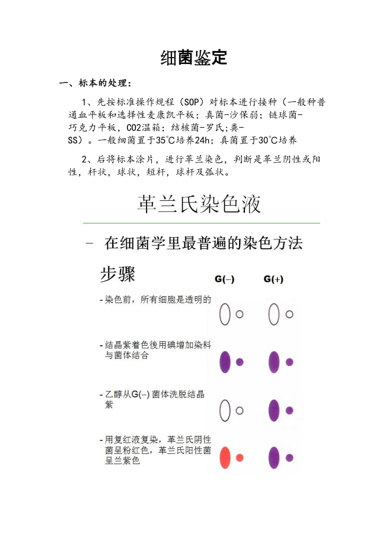 细菌鉴定的基本思路(全).doc_第1页