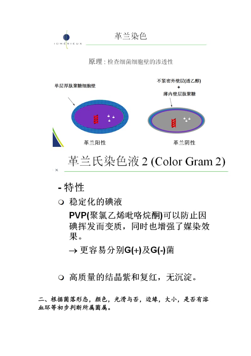 细菌鉴定的基本思路(全).doc_第2页