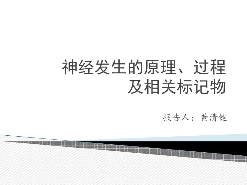 神经发生的原理、过程及相关标记物.ppt_第1页