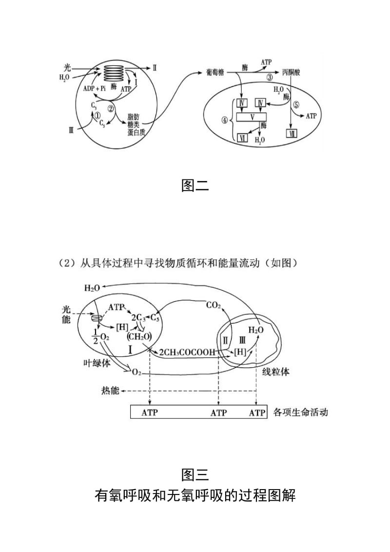 生物光合作用和细胞呼吸图解(便于理解).doc_第2页