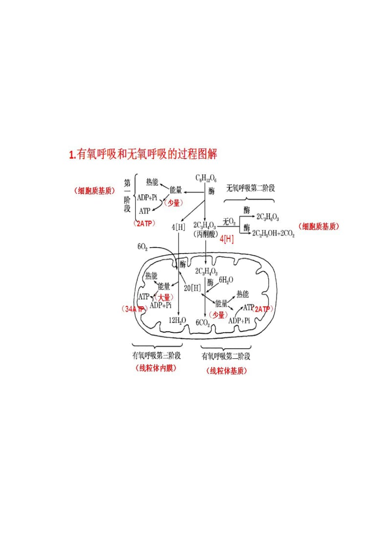 生物光合作用和细胞呼吸图解(便于理解).doc_第3页