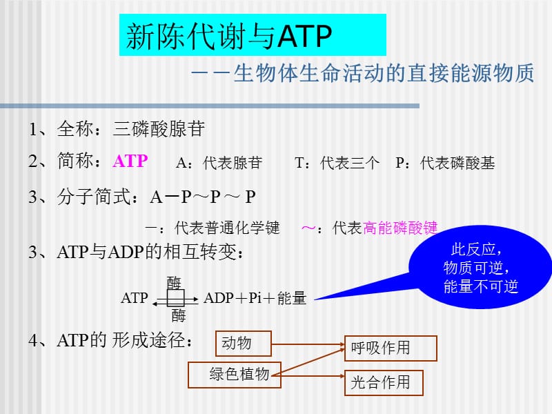 生物的新陈代谢.ppt_第3页