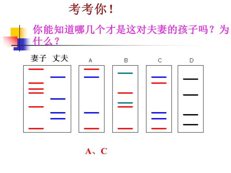 遗传信息携带者——核酸.ppt_第3页