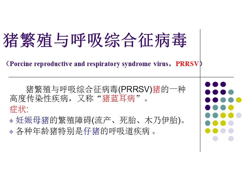 猪繁殖与呼吸综合征病毒-.ppt_第1页