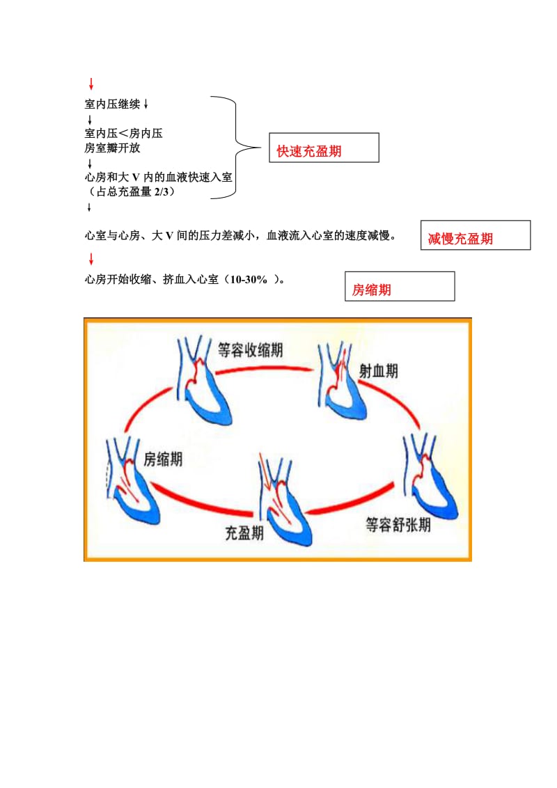 心脏泵血过程.doc_第2页