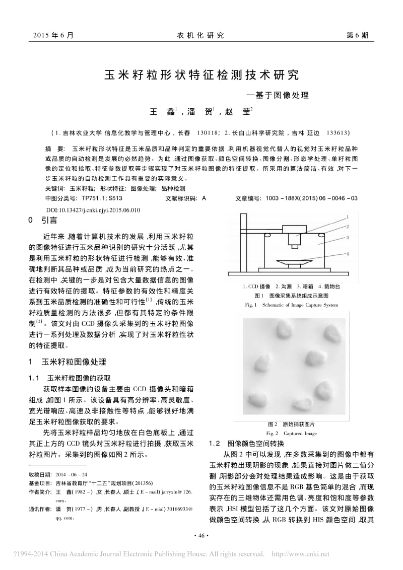 玉米籽粒形状特征检测技术研究_基于图像处理.pdf_第1页