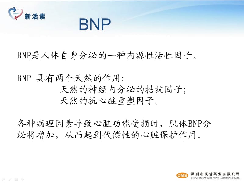 新活素心内科.ppt_第2页