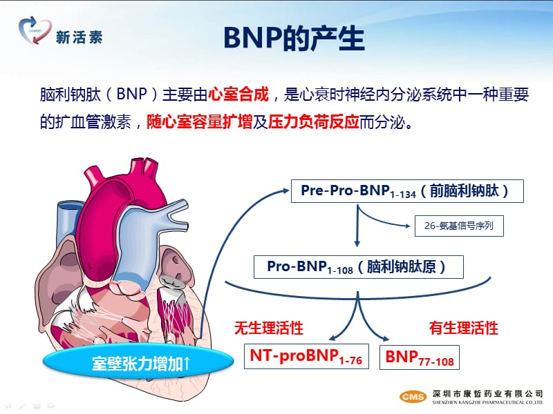 新活素心内科.ppt_第3页