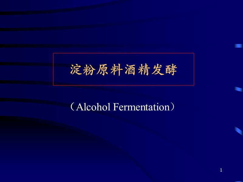 酒精发酵工艺过程.ppt_第1页