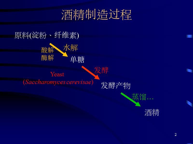 酒精发酵工艺过程.ppt_第2页