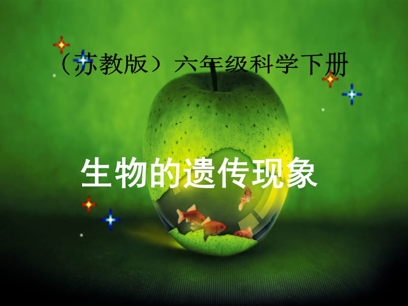 生物的遗传现象01.ppt_第1页