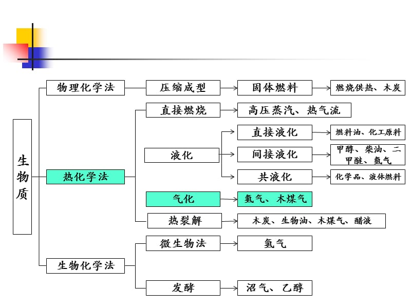 生物质资源转化和利用-第五章-生物质直接气化技术.ppt_第2页