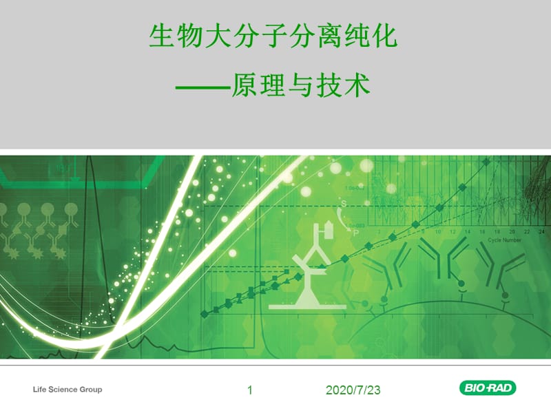 生物大分子分离纯化-原理与技术.ppt_第1页