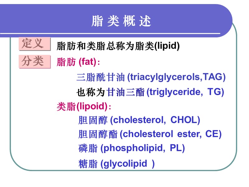 生物化学脂类代谢.ppt_第3页