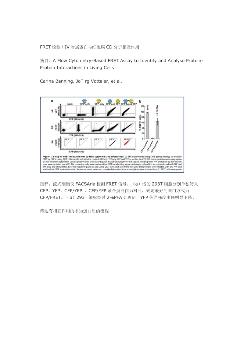 生物发光共振能量转移.doc_第3页