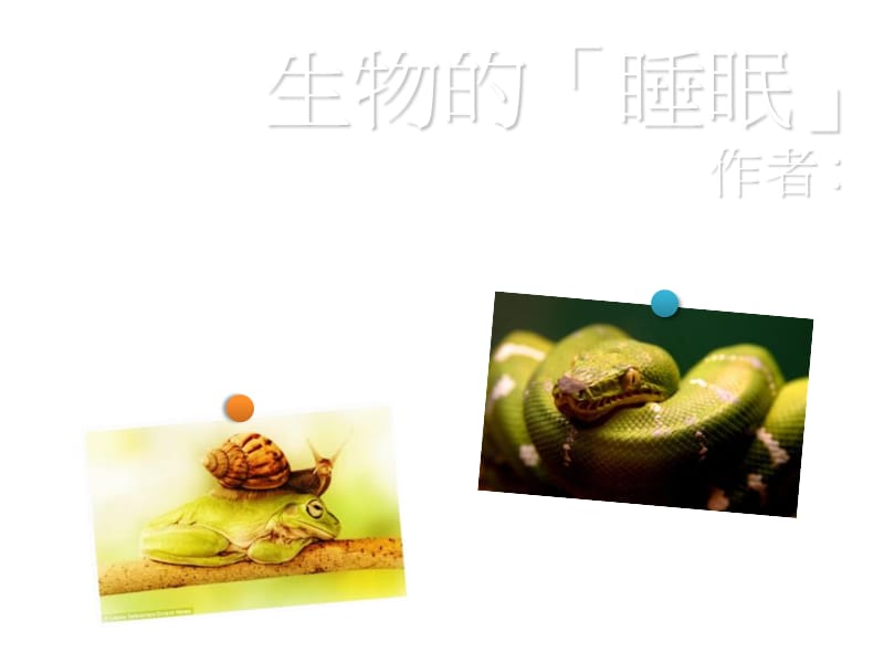 生物的睡眠 PPT.ppt_第1页