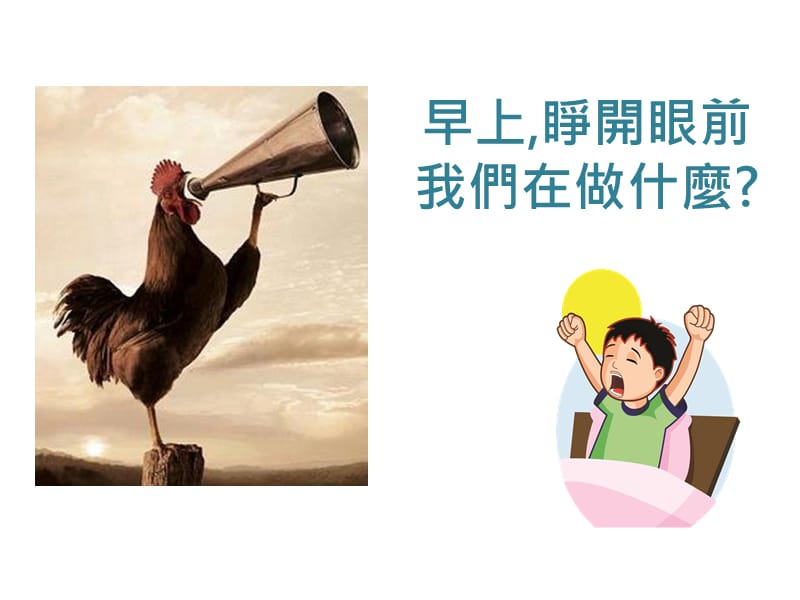 生物的睡眠 PPT.ppt_第2页