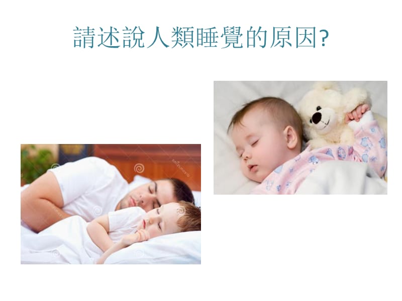 生物的睡眠 PPT.ppt_第3页