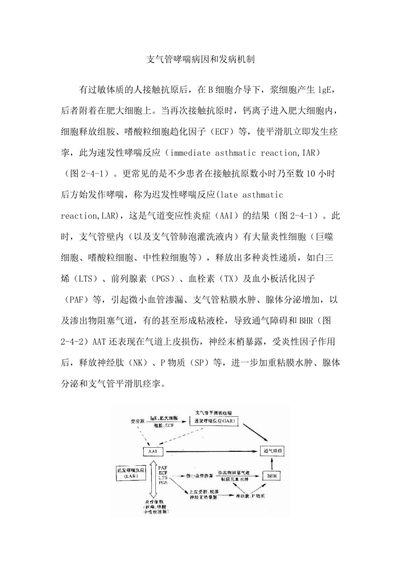 支气管哮喘病因和发病机制.doc_第1页