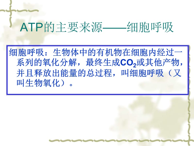 细胞呼吸的过程和意义.ppt_第1页