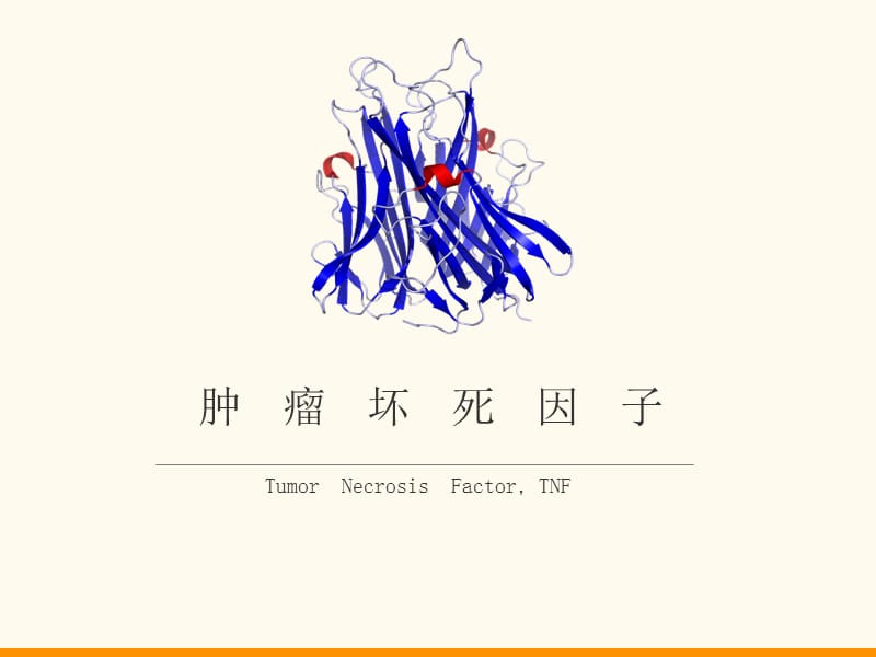 肿瘤坏死因子TNF.ppt_第1页