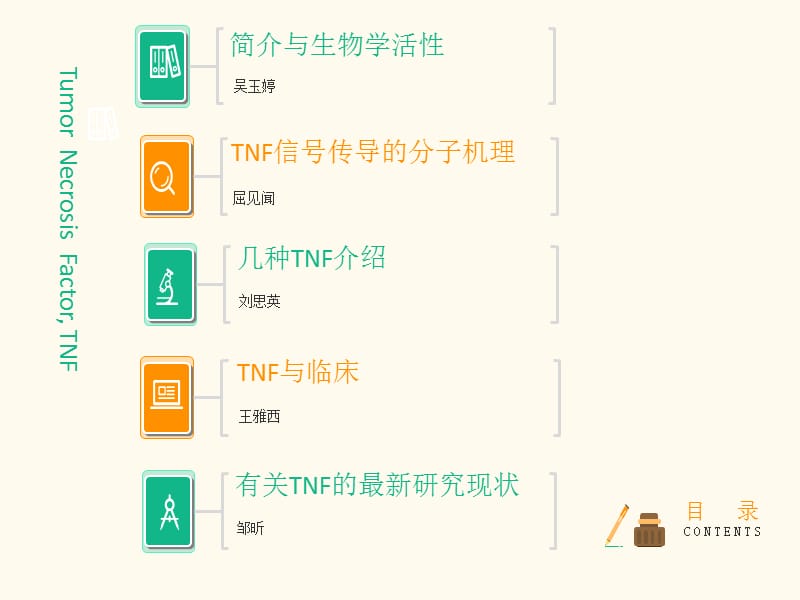 肿瘤坏死因子TNF.ppt_第2页