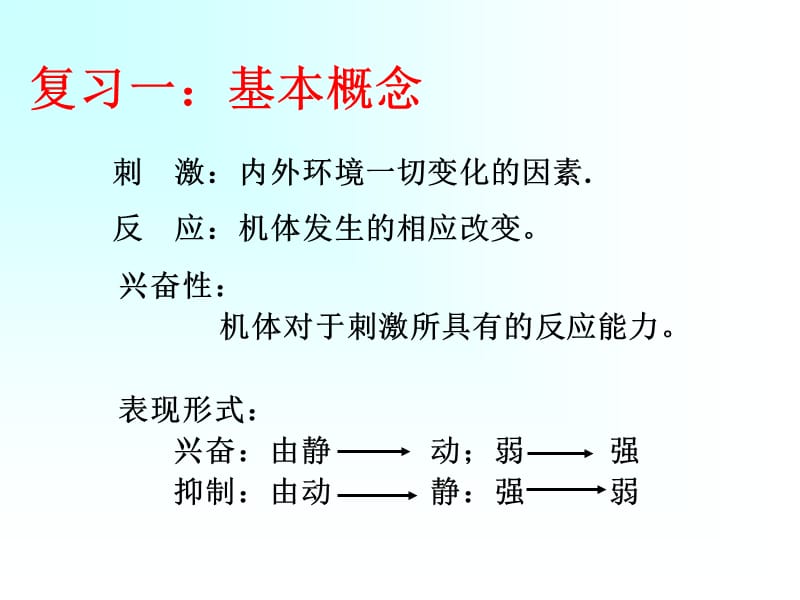 细胞生物电现象.ppt_第3页