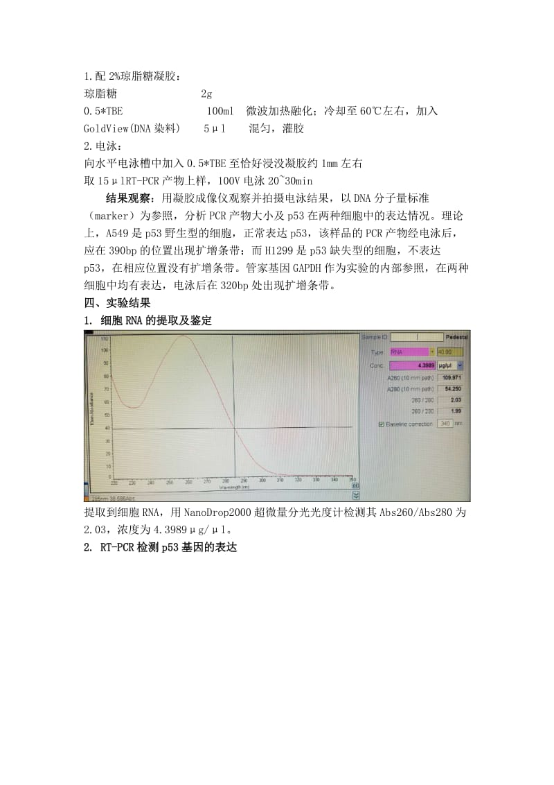 细胞RNA的提取及鉴定、RT-PCR检测p53基因的表达.doc_第3页