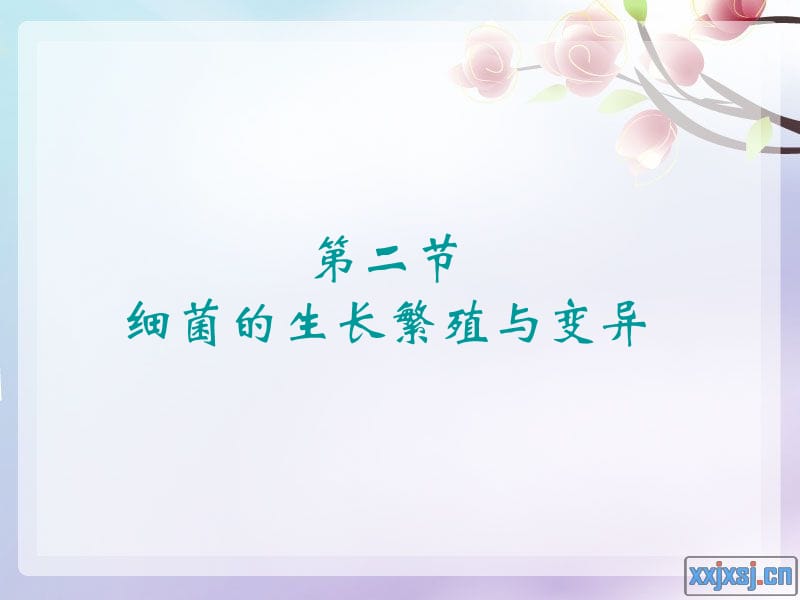 细菌的生长繁殖与变异 PPT.ppt_第1页