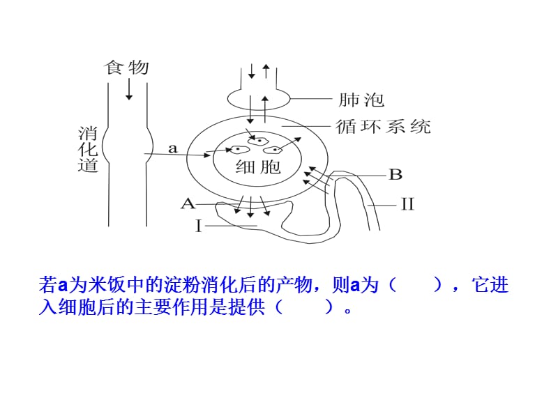 血液的组成及功能.ppt_第2页