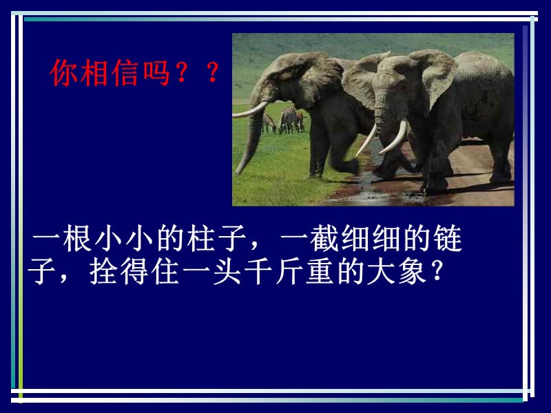 养成好习惯主题班会ppt课件.ppt_第1页