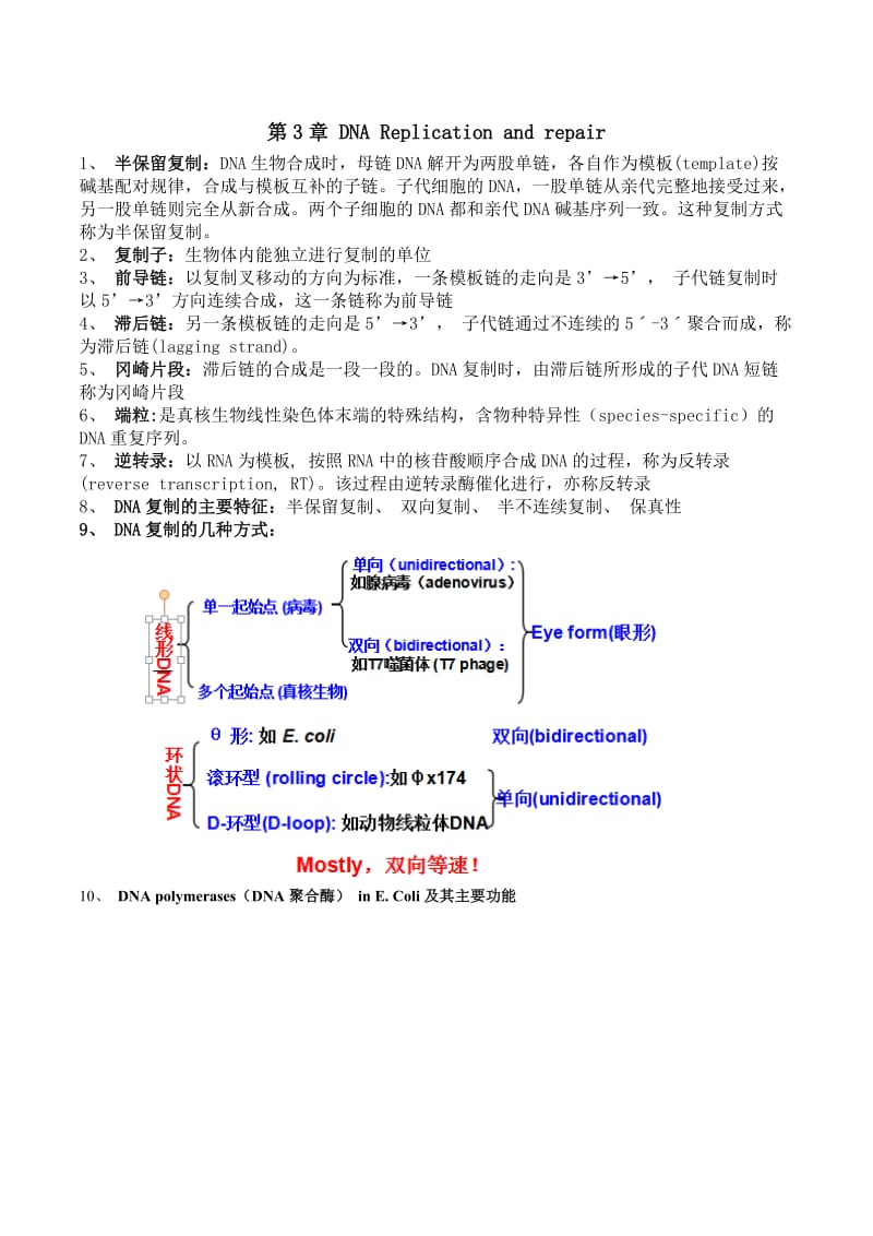 分子生物学总结完整版.doc_第2页