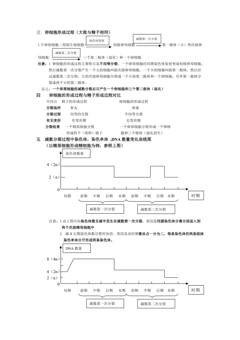 减数分裂知识总结.doc_第3页