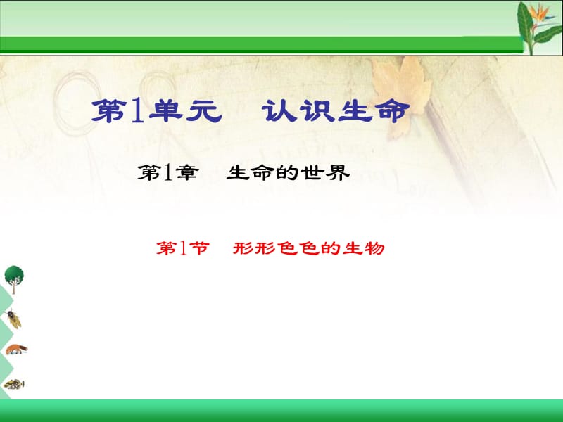 认识生命.ppt_第1页