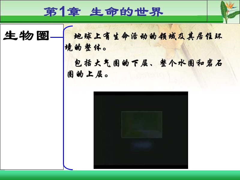 认识生命.ppt_第2页