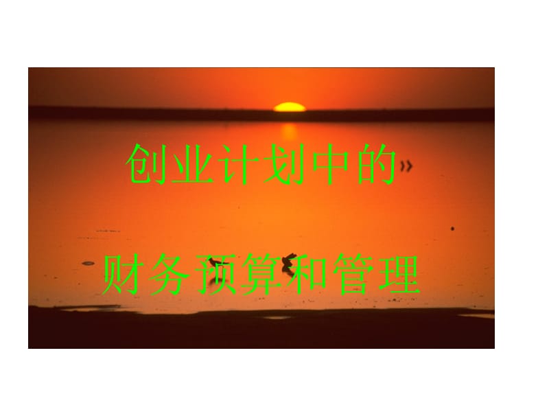 创业计划中的财务预算.ppt_第1页