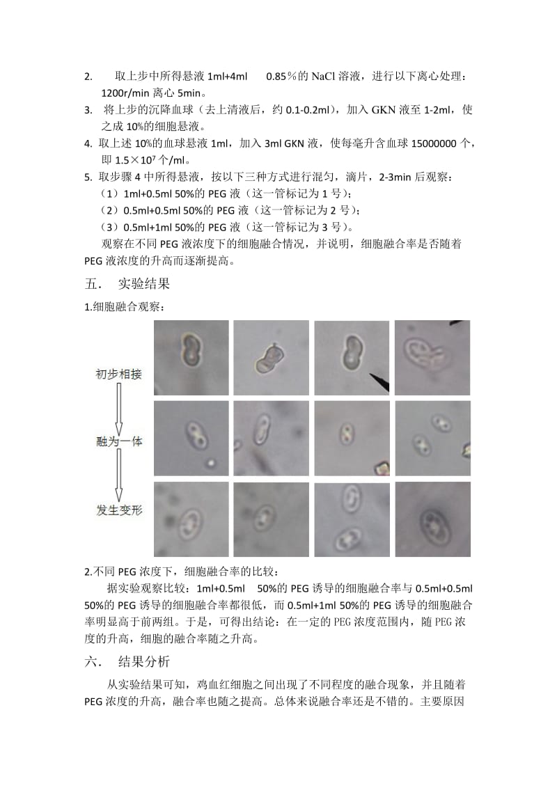 PEG诱导细胞融合.doc_第3页