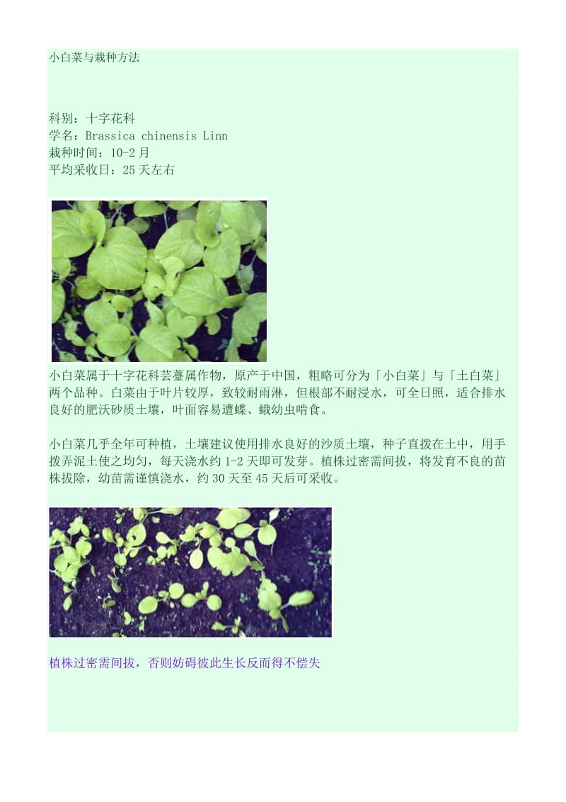 小白菜种植方法(附图).doc_第1页